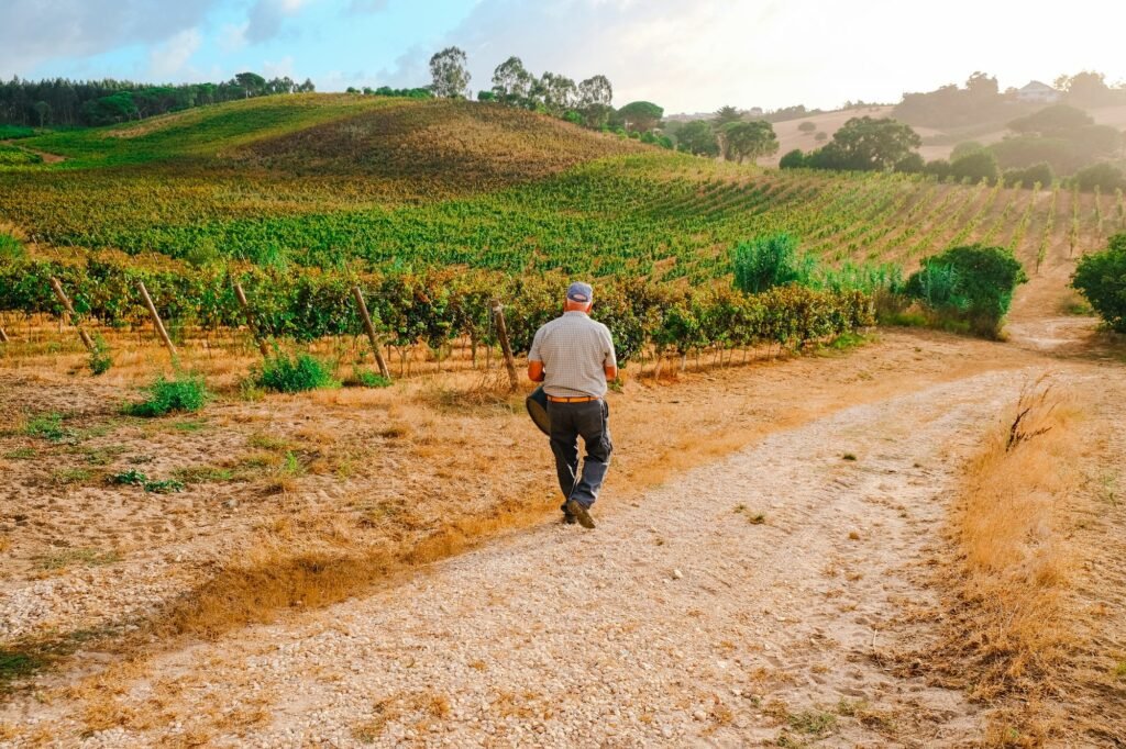 02 QUINTA DA BARROSA LW